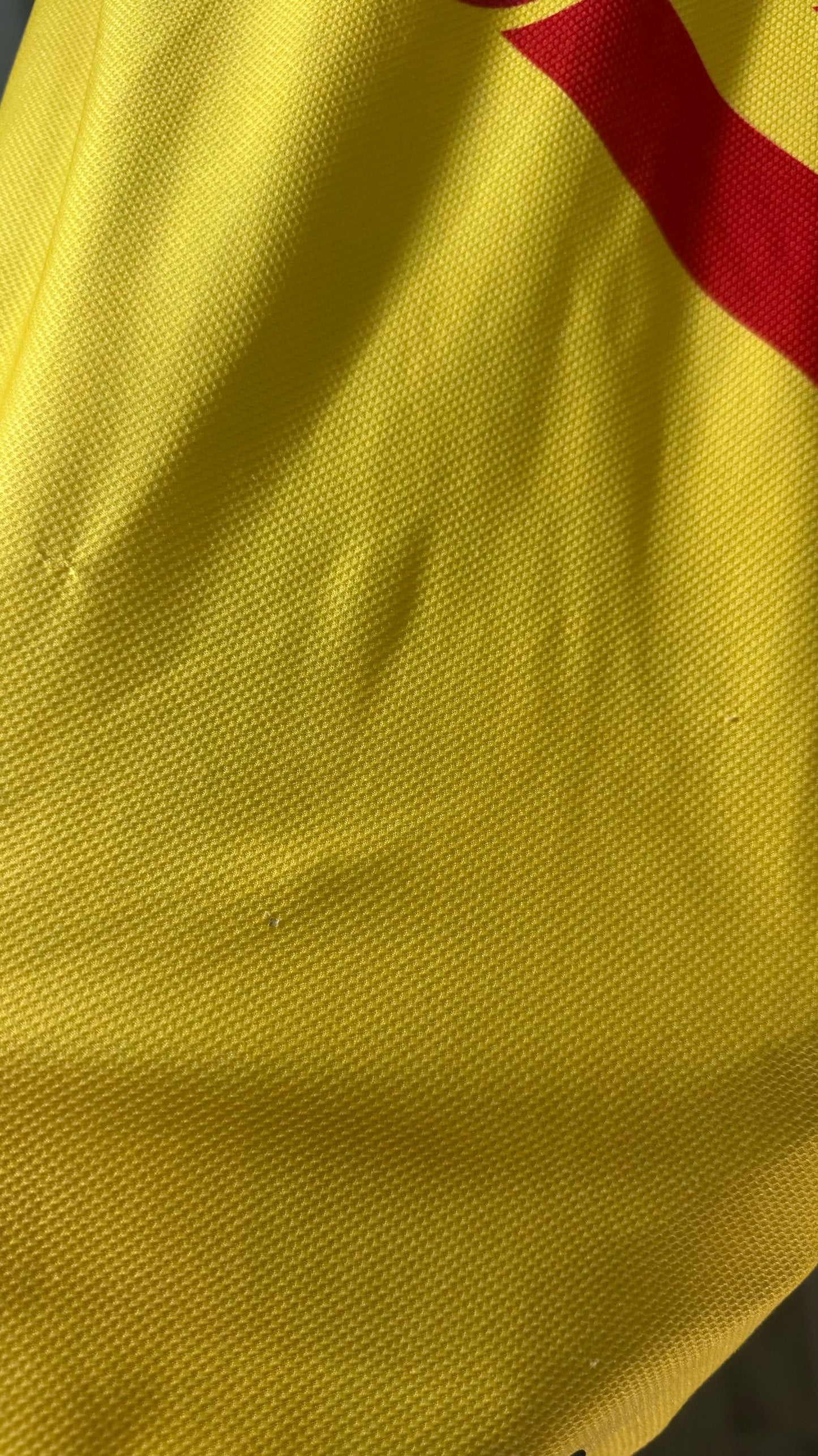 MONARCOS DE MORELIA 2007 HOME JERSEY (L)