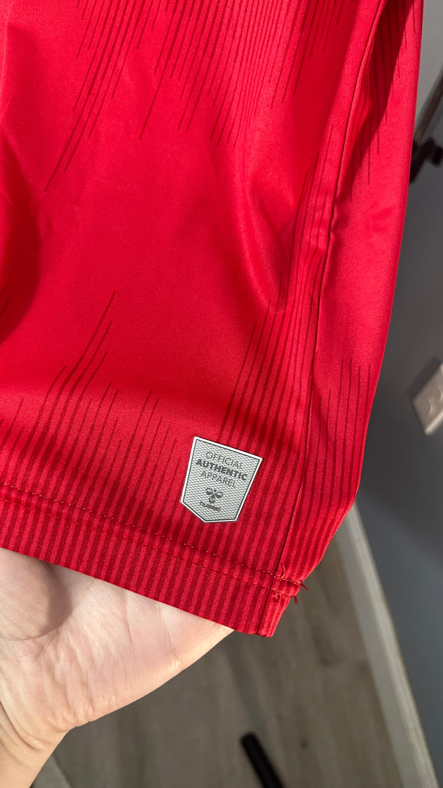 DENMARK 2020 X CHRISTIAN ERIKSEN HOME (L)