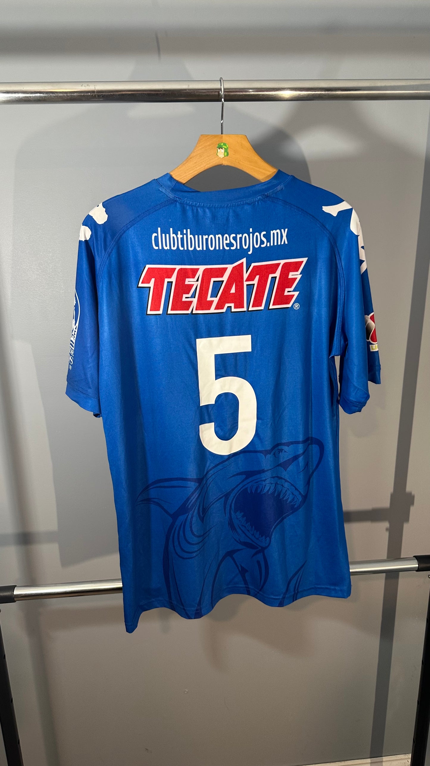 VERACRUZ 2014 AWAY JERSEY (L)